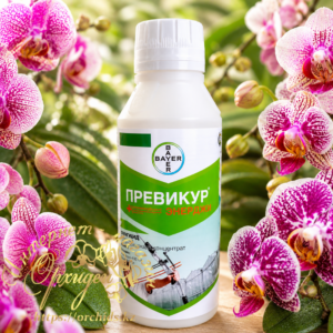 Превикур энерджи